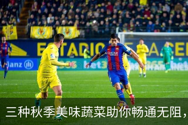 三种秋季美味蔬菜助你畅通无阻，营养丰富，清爽护肠！